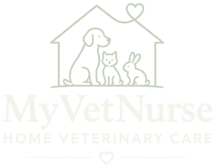 MyVetNurse — Home Veterinary Care
